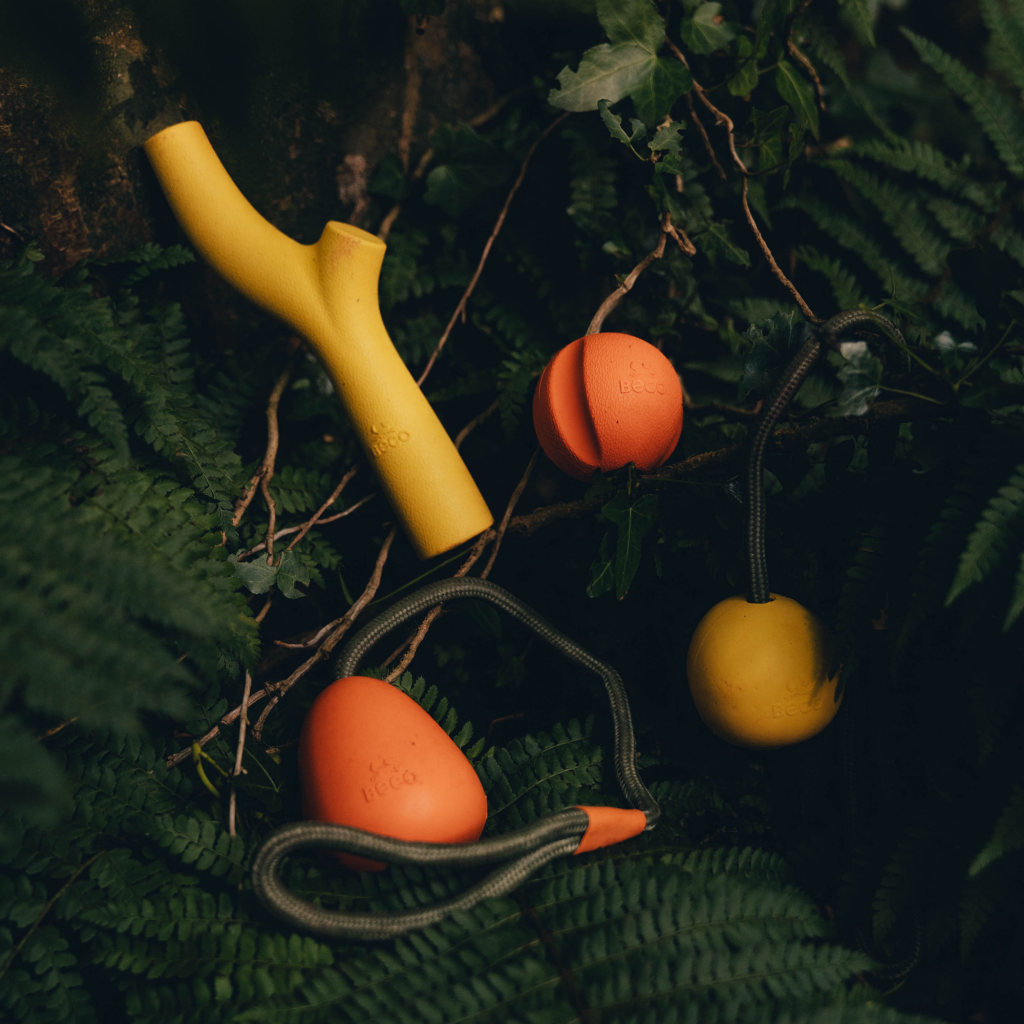 Beco Fetch Ball - Dog Toys