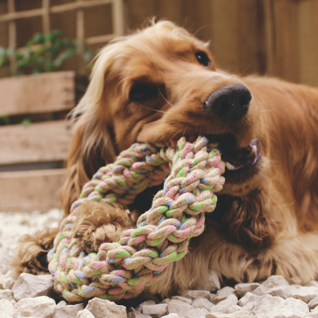 Beco Hemp Rope Jungle Ring - Dog Toys