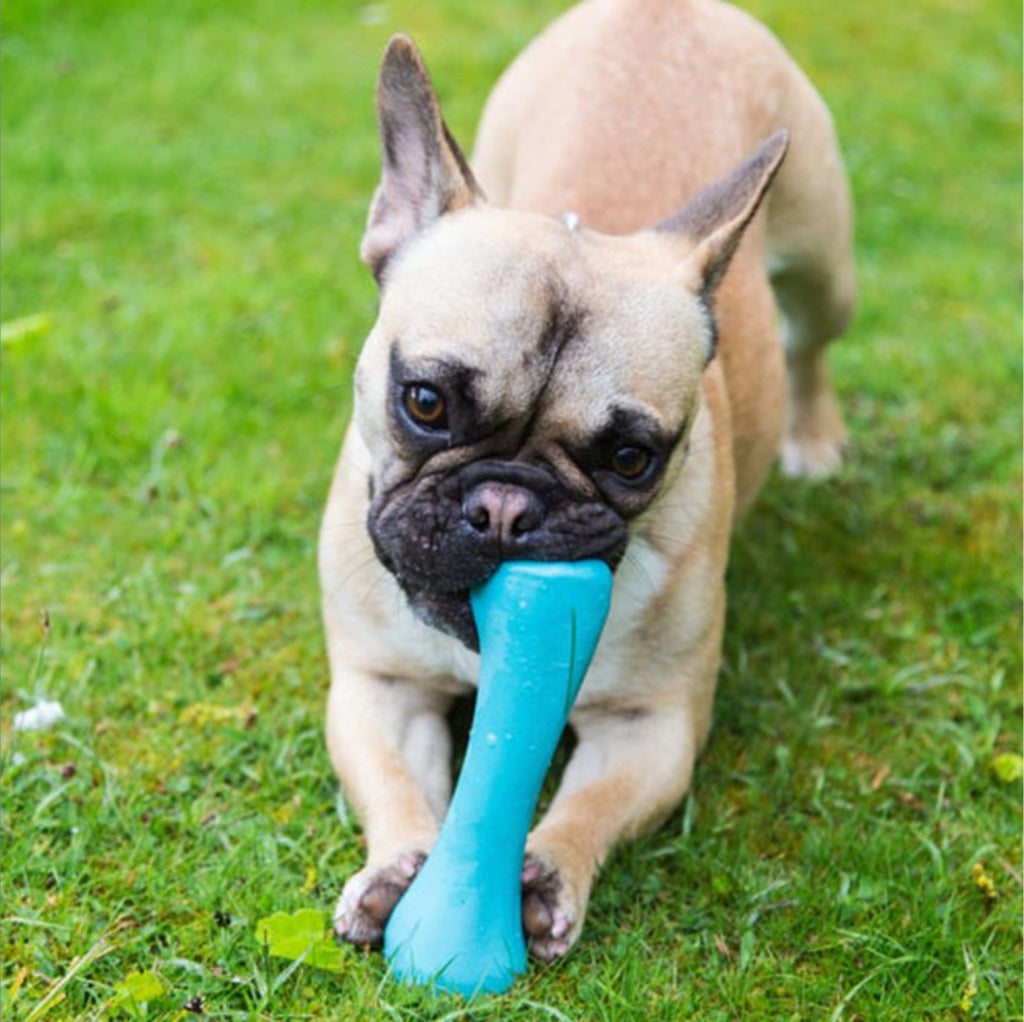Beco Natural Rubber Bone - Dog Toys