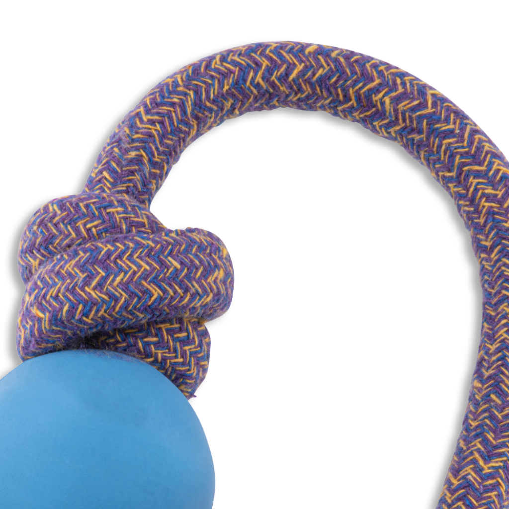 Beco Rubber Ball on Rope Blue - Dog Toys