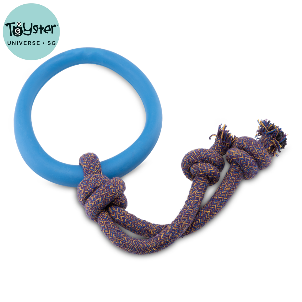 Beco Rubber Hoop on Rope Blue - Dog Toys