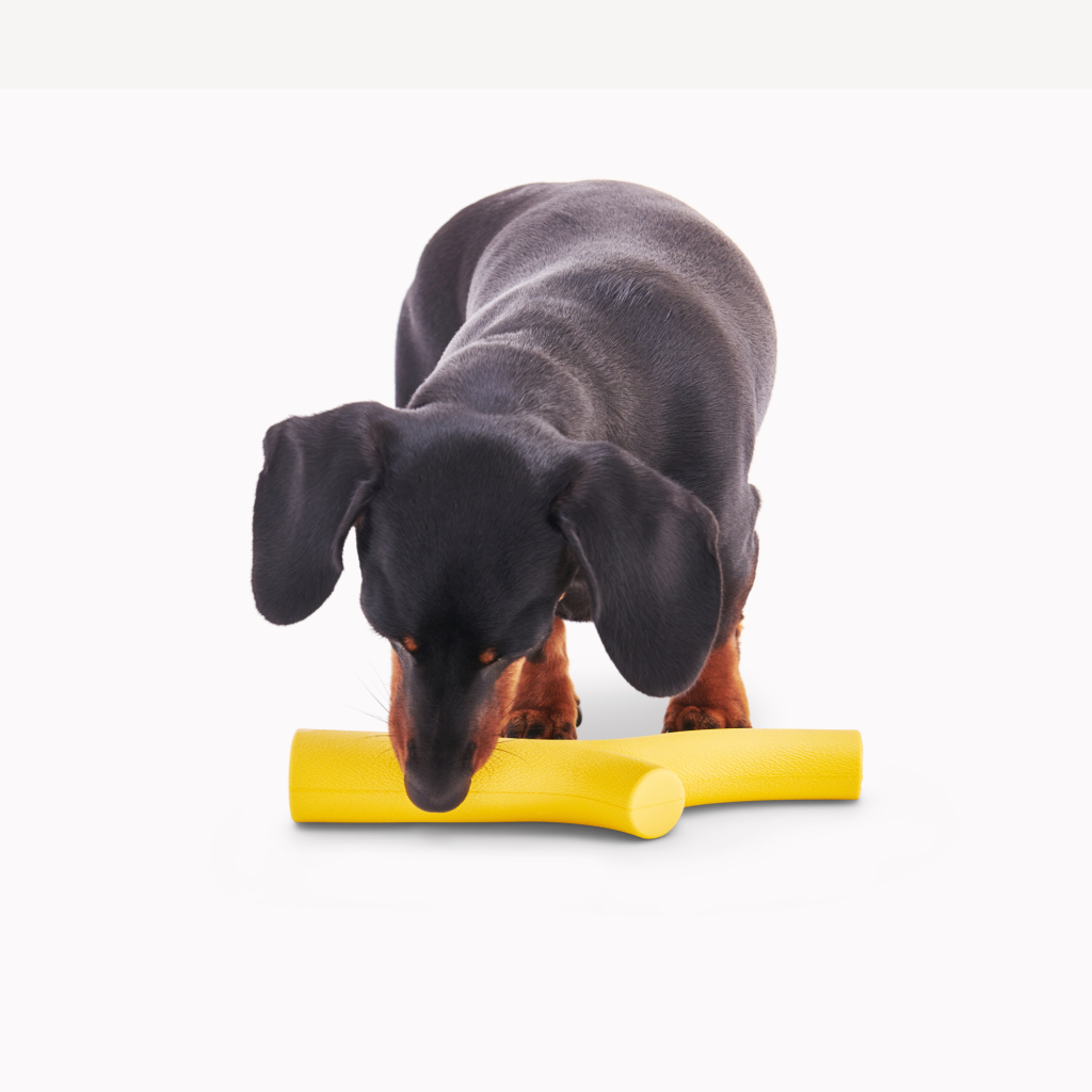 Beco Super Stick Toy - Dog Toys