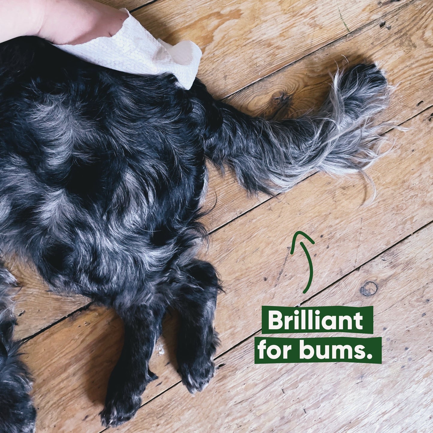 Beco Bamboo Dog Wipes, Unscented