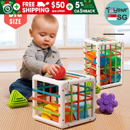 Bpa Free Shape Sorting Toys