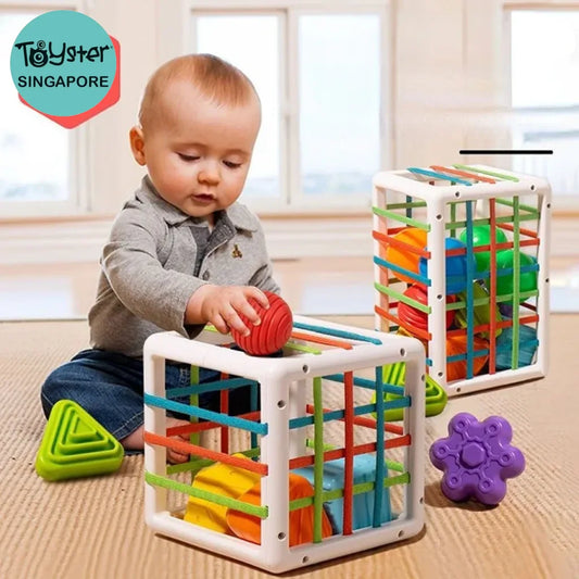 Bpa Free Shape Sorting Toys