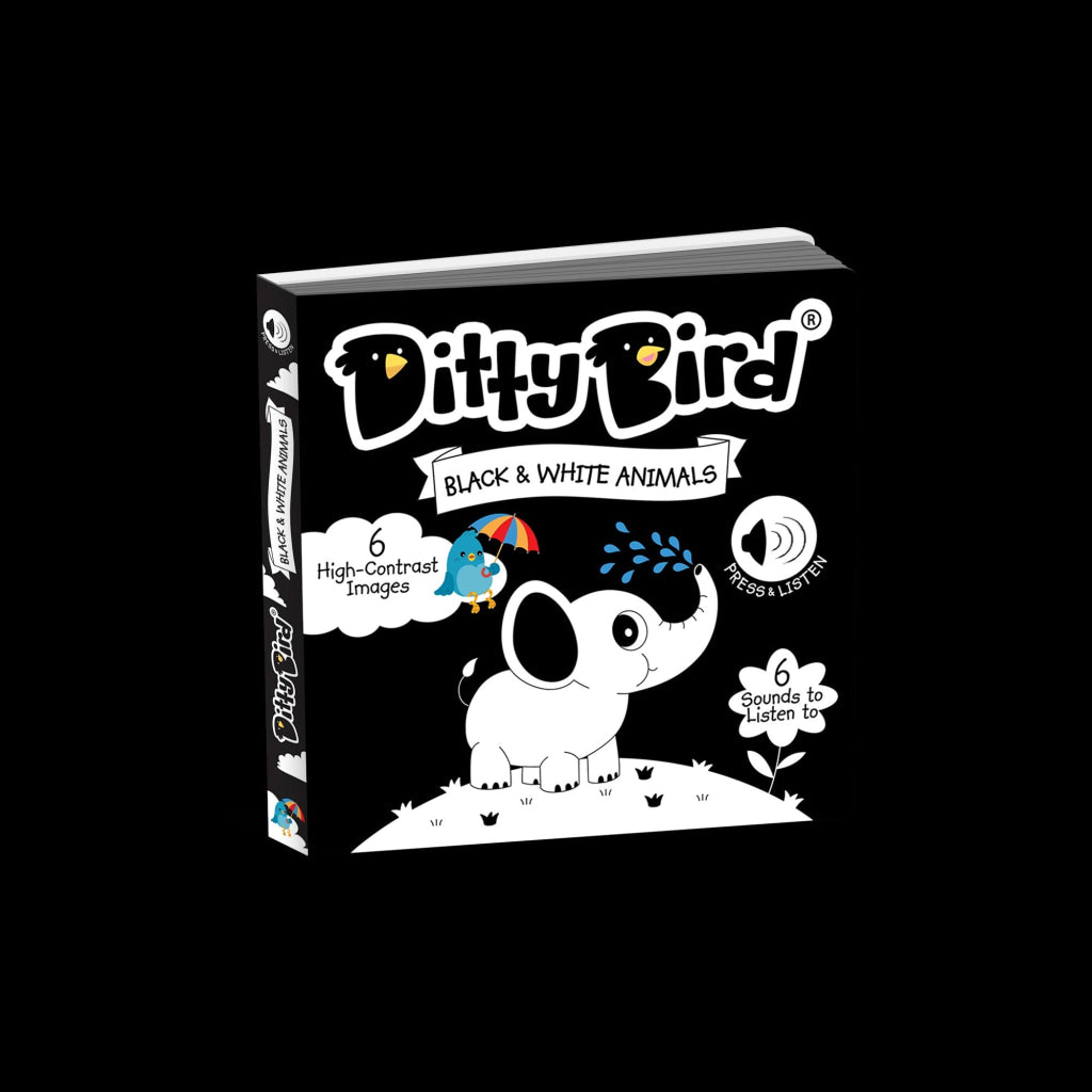 Ditty Bird: Black And White Animals Bird