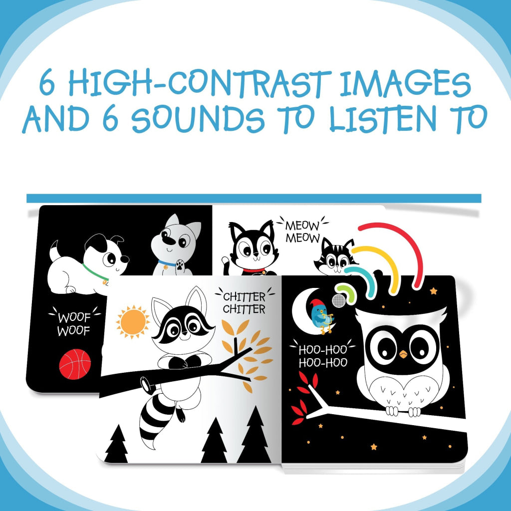 Ditty Bird: Black And White Animals Bird