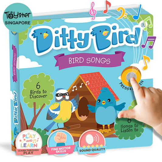 Ditty Bird: Songs