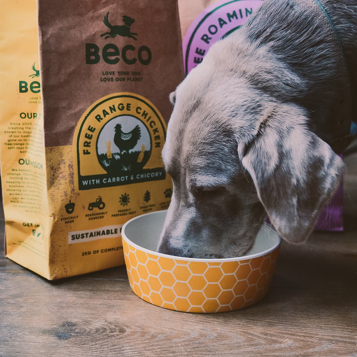 Beco Bamboo Pet Bowl, Honeycomb