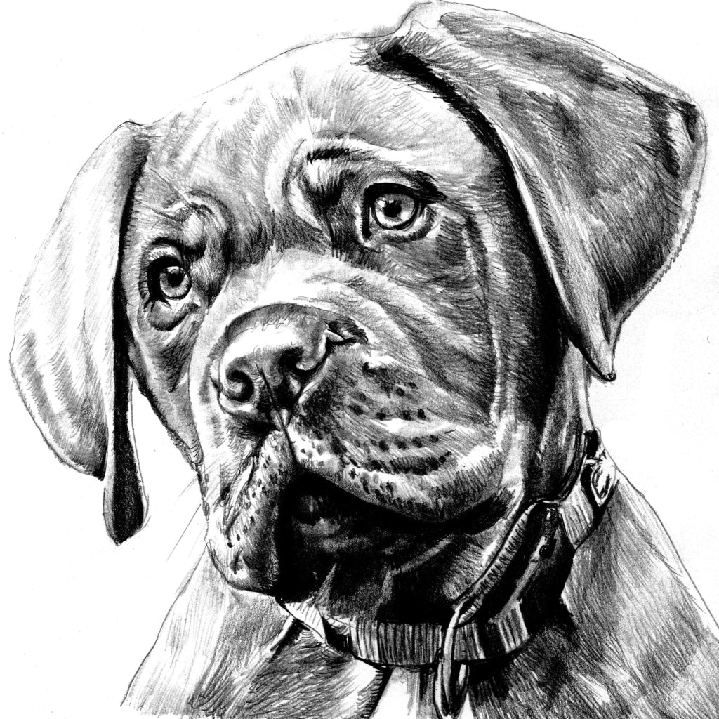 Hinkler Art Maker Masterclass Collection: Drawing Artmaker