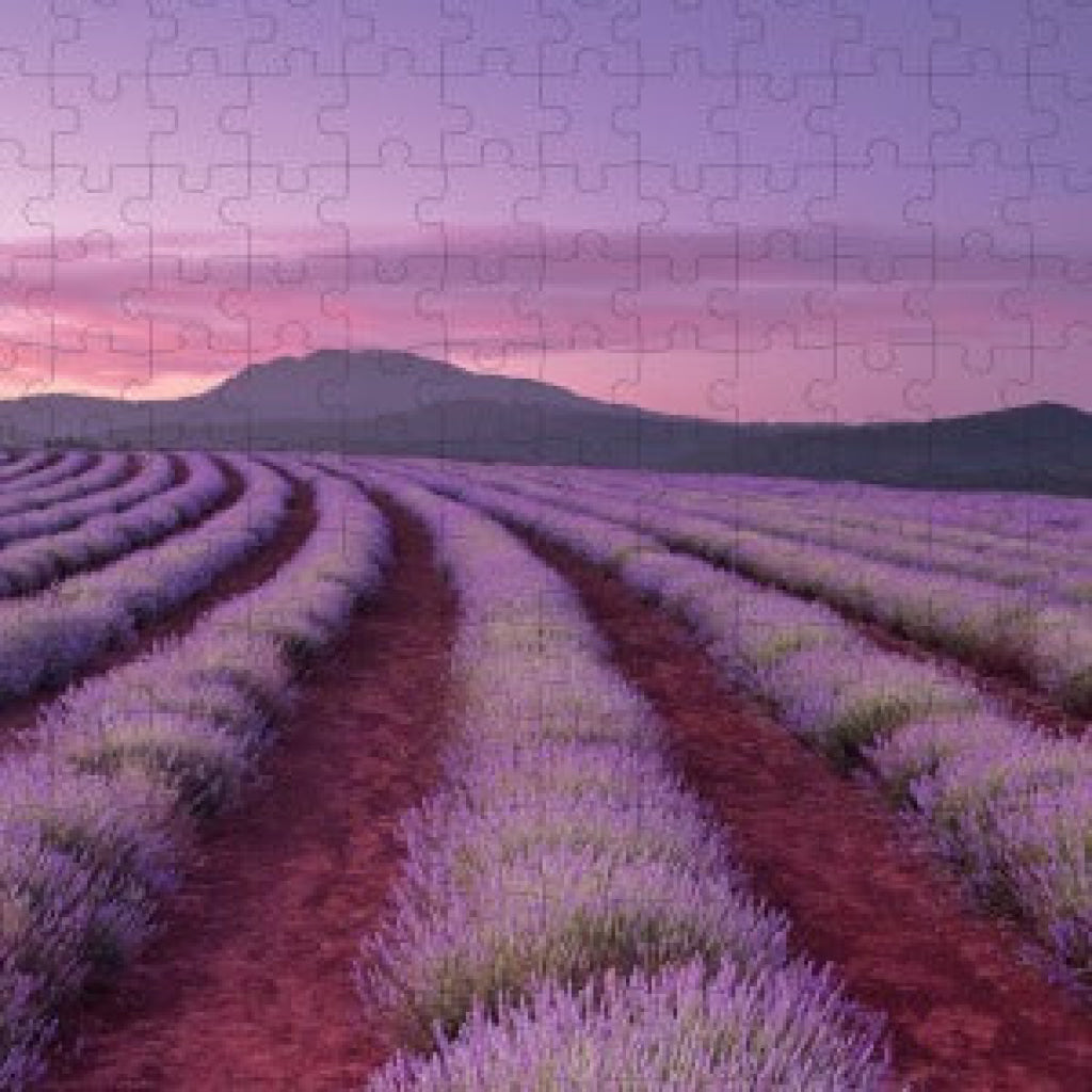 Hinkler Elevate Scented 500Pc Jigsaw: Lavender Fields Junior Jigsaw