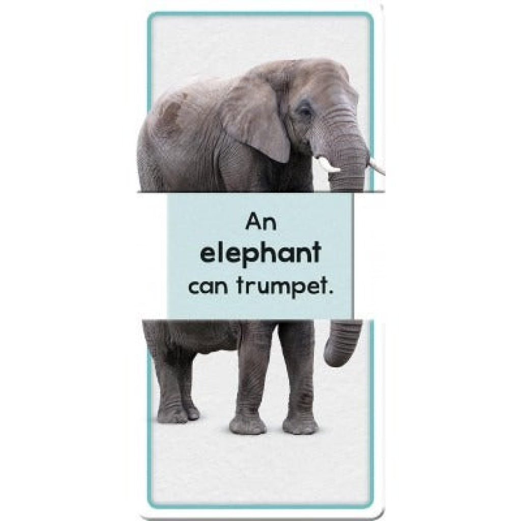 Hinkler Slide & Learn Flashcards Animals Flash Cards