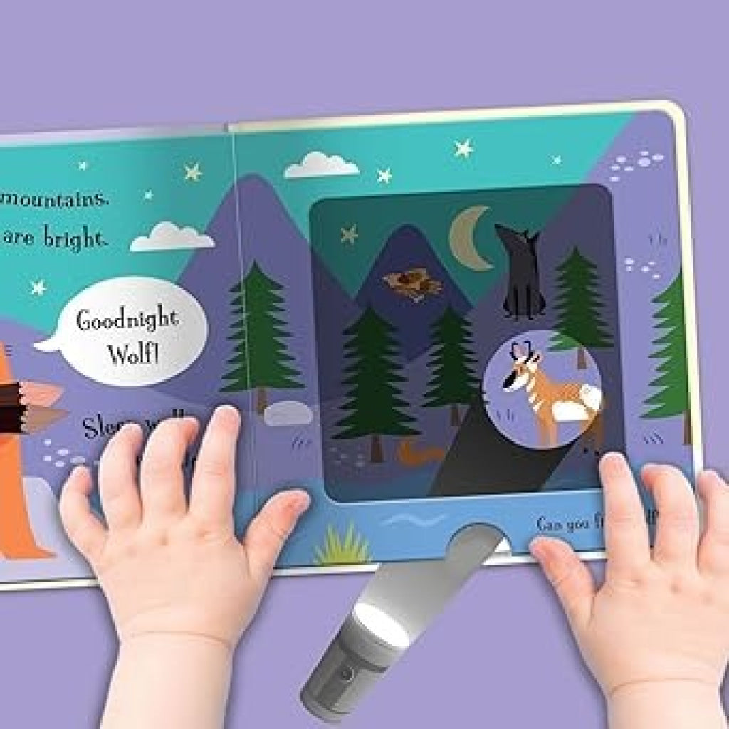 Imagine That - Torchlight Book Goodnight Beaver - IMAGINE THAT