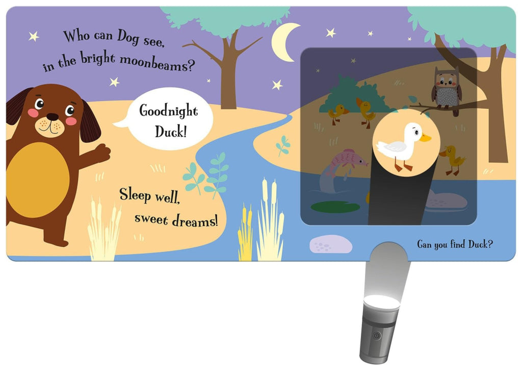 Imagine That - Torchlight Book That Goodnight Dog IMAGINE THAT