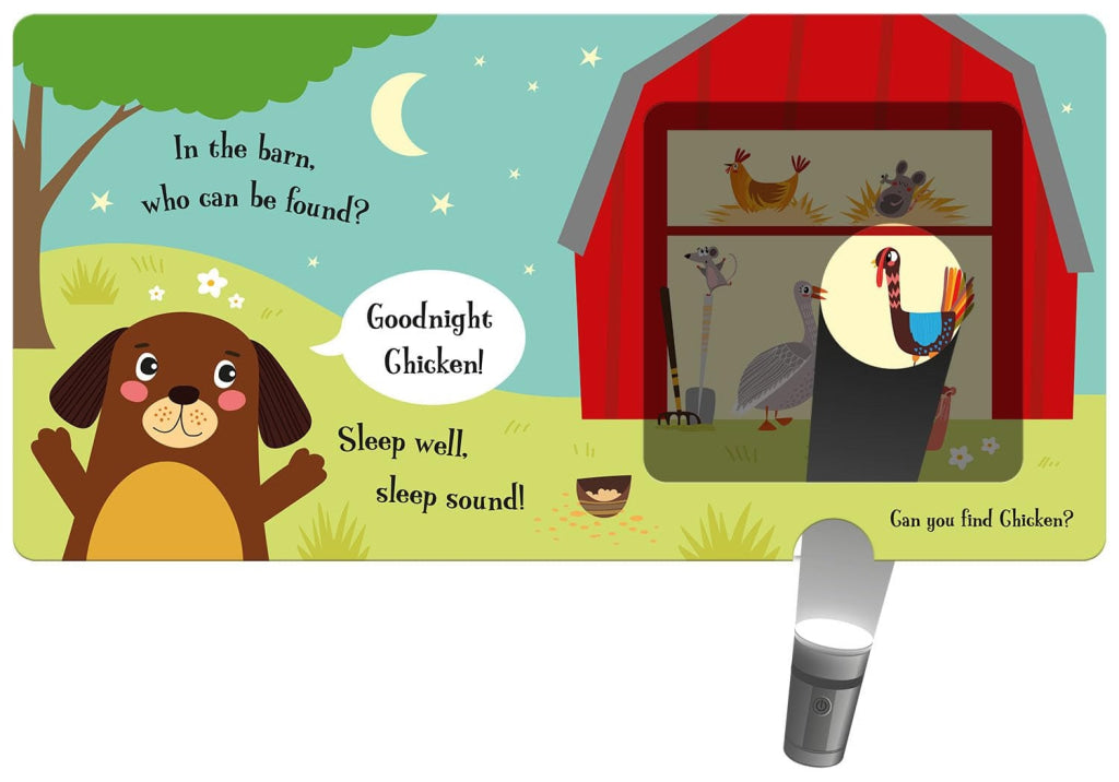 Imagine That - Torchlight Book That Goodnight Dog IMAGINE THAT