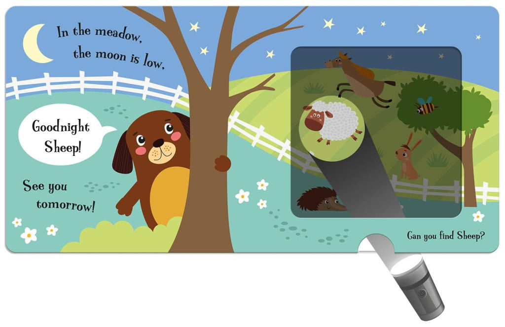 Imagine That - Torchlight Book That Goodnight Dog IMAGINE THAT