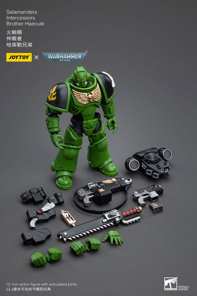 Joytoy Warhammer 40K Salamanders Intercessors Brother Haecule Warhammer