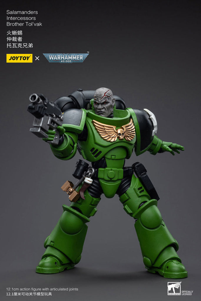 Joytoy Warhammer 40K Salamanders Intercessors Brother Tol’vak Warhammer