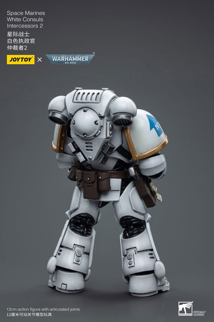 Joytoy Warhammer 40K Space Marines White Consuls Intercessors 2 Jt6854 Warhammer