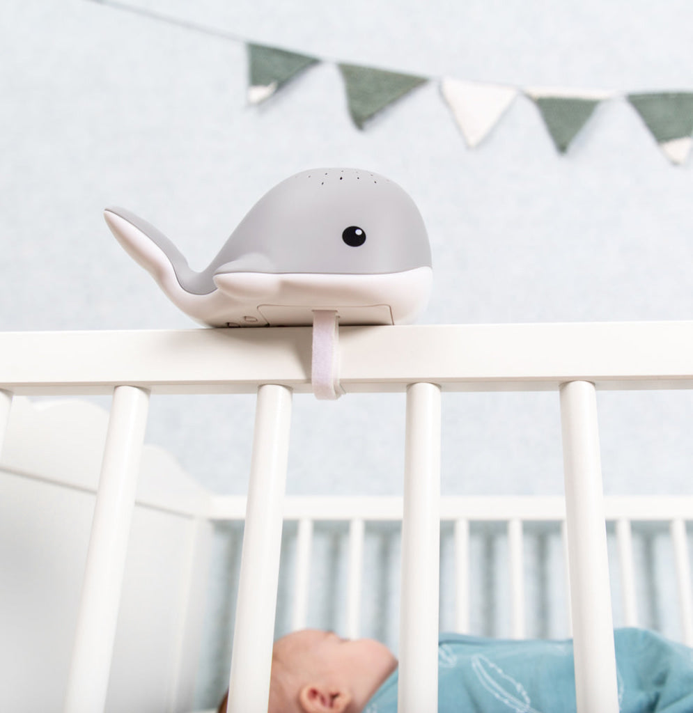 Light Projector - Wally the Whale - Nightlight