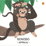 Sassi Memory Animals to Save : Tropical forests