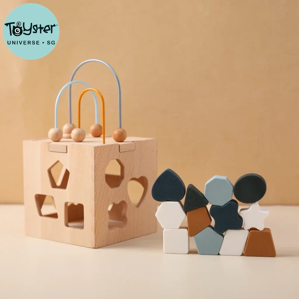 Montessori Toys Wooden Activity Cube