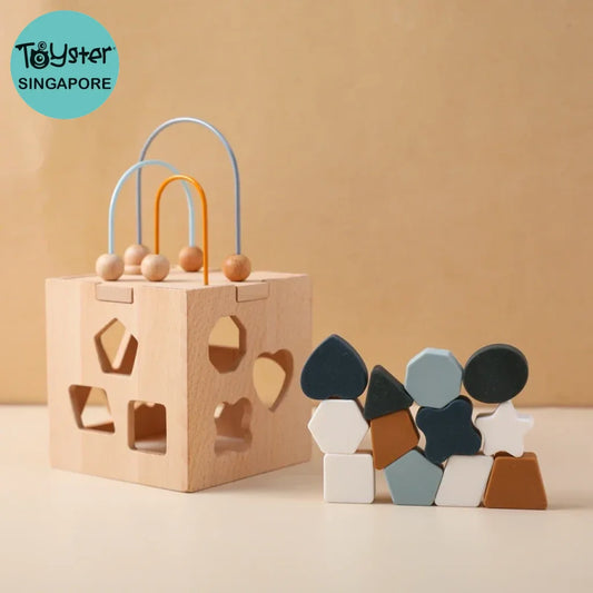 Montessori Toys Wooden Activity Cube