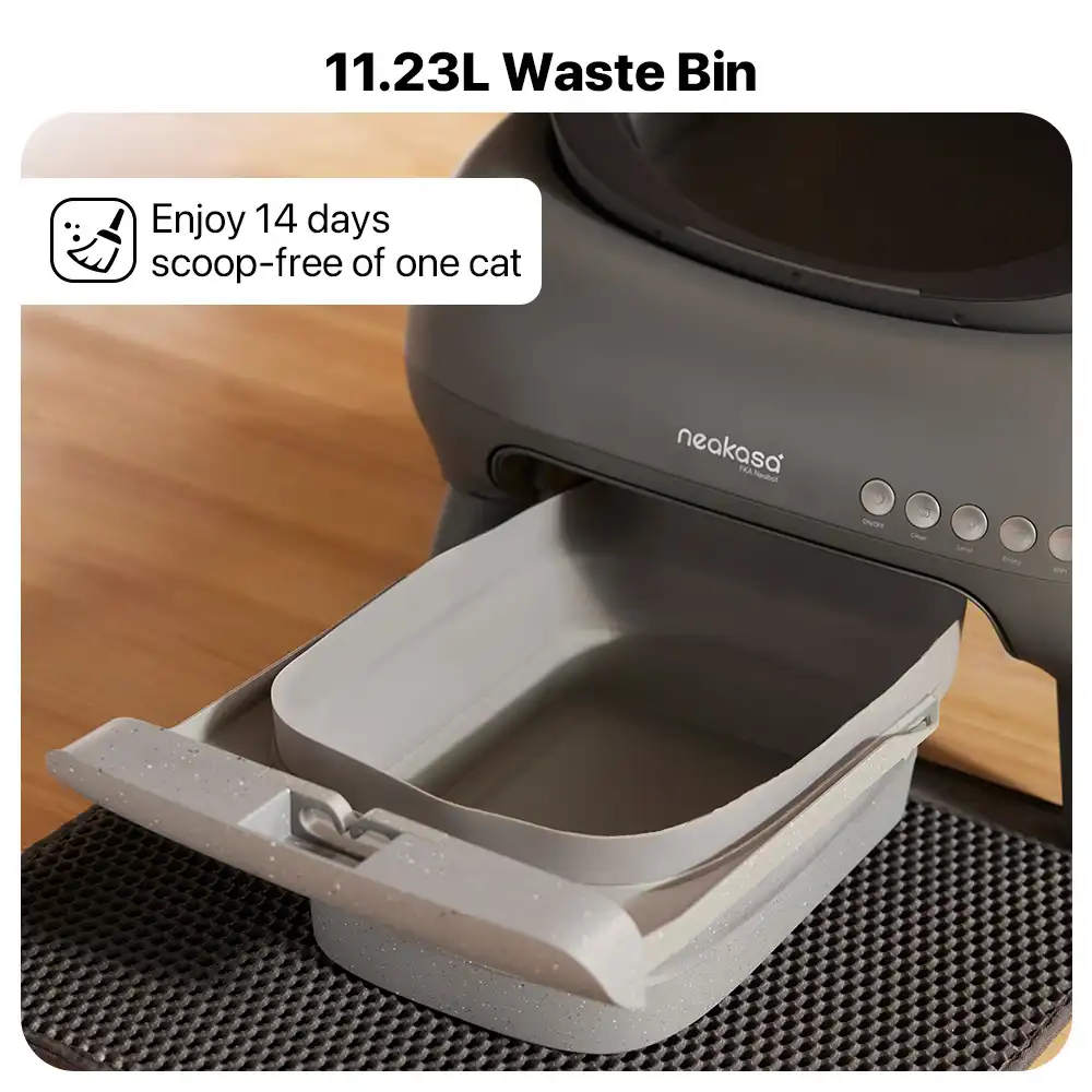 Neakasa M1 Plus (Upgraded) Open-Top Self-Cleaning Automatic Cat Litter Box