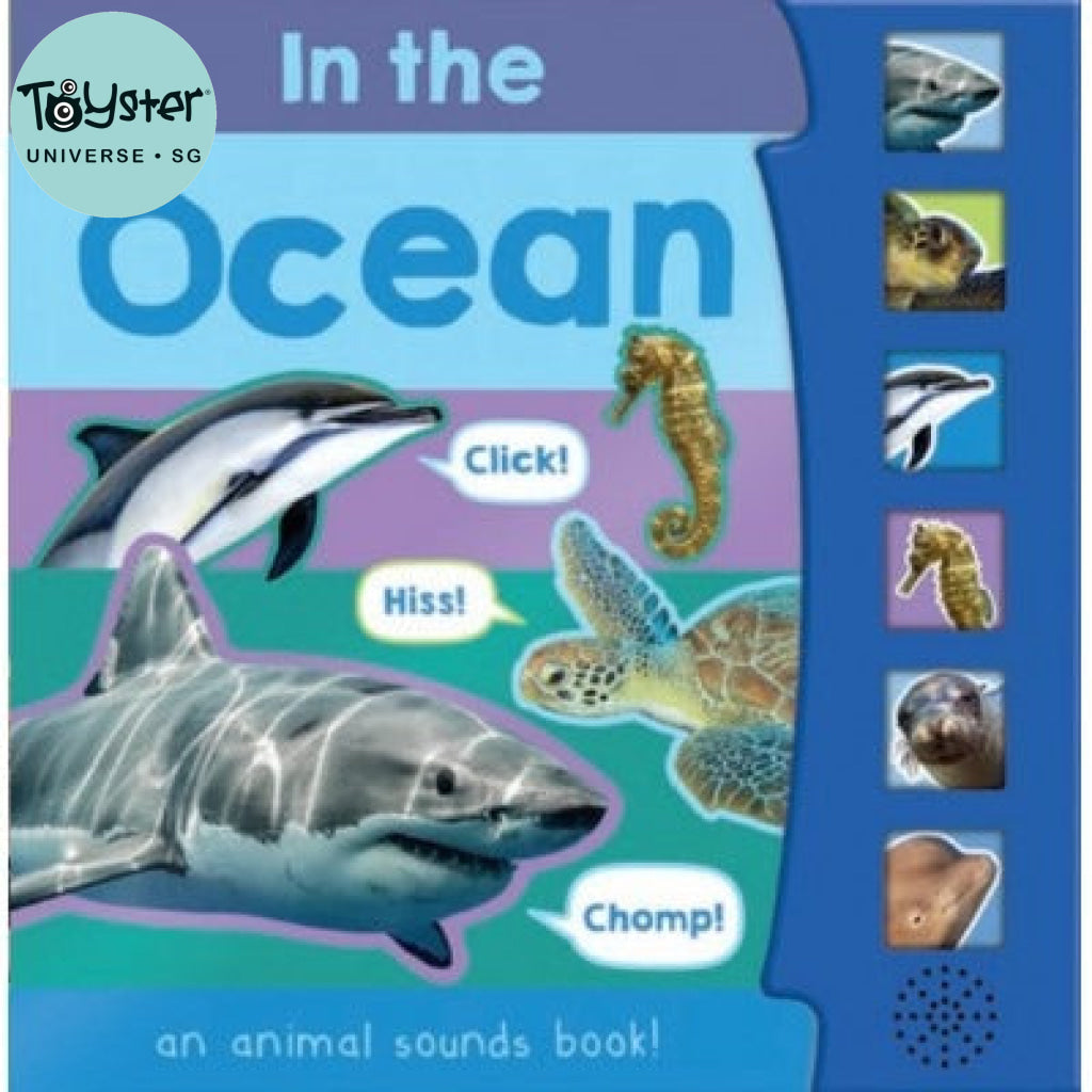 North Parade In The Ocean 6 Button Sound Book North Parade