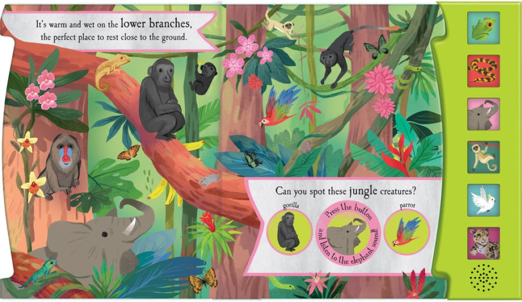 North Parade Nature 6 Button Sound Books Noisy Jungle North Parade