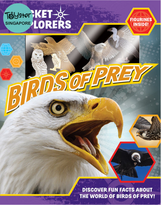 Pocket Explorers: Birds Of Prey Pocket Explorers