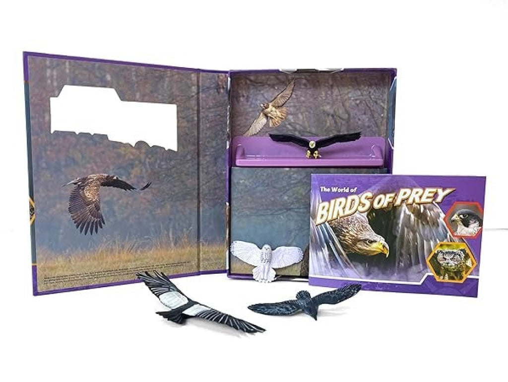 Pocket Explorers: Birds Of Prey Pocket Explorers