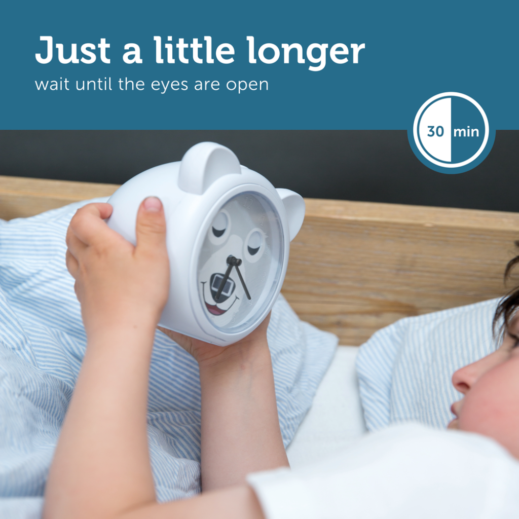 Sleep Trainer with Alarm Clock - Bobby the Bear - Alarm clock