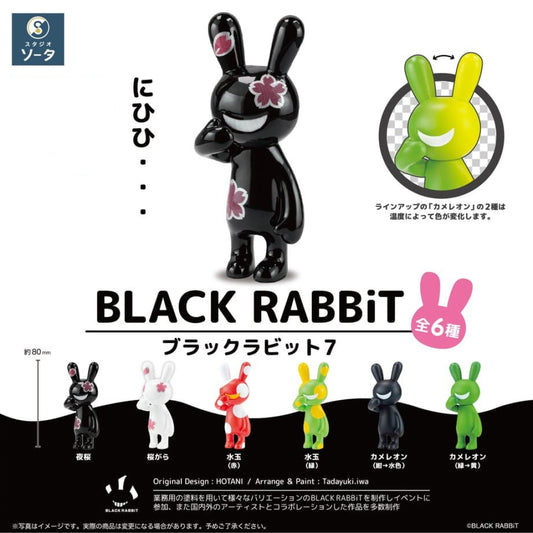 So-Ta Black Rabbit 7 Blind Box