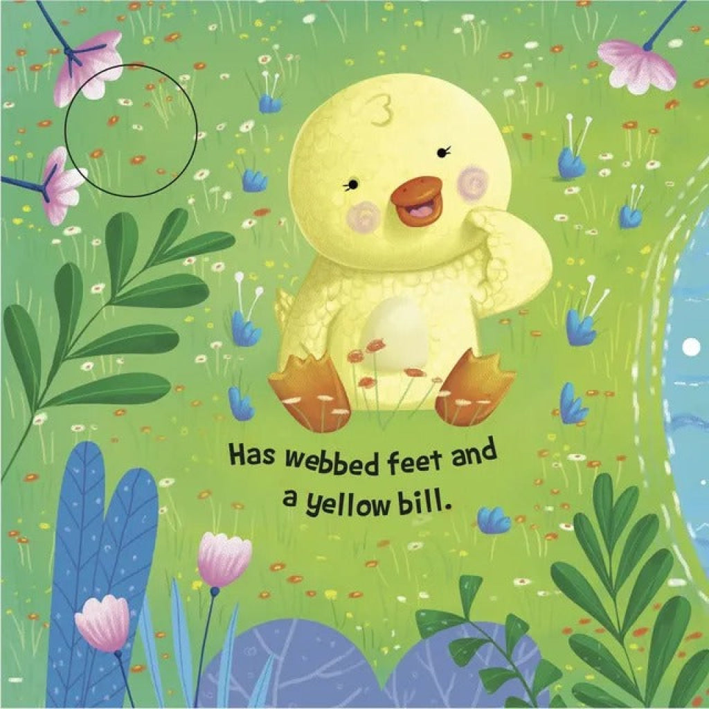 Sound Book Duck - OM Books