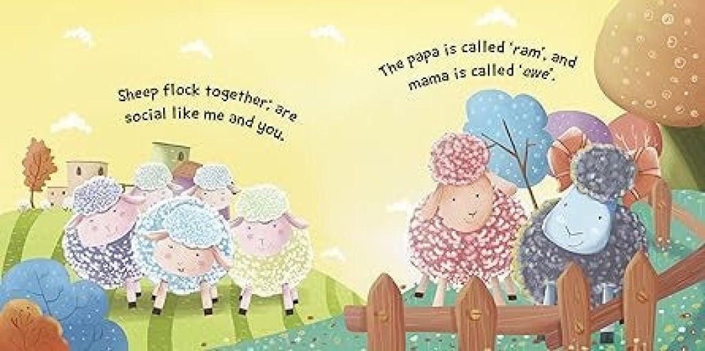 Sound Book Sheep - OM Books