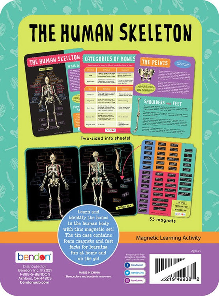 T.S. Shure Magnetic Tin - Human Skeleton - T.S. Shure