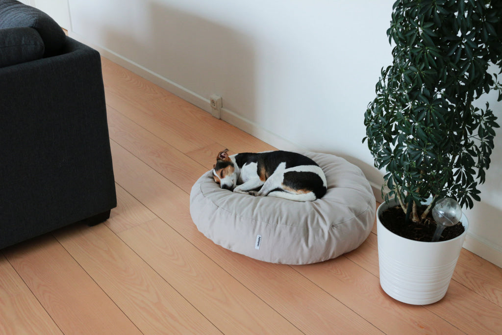 Tadazhi Round Dog Bed Sand - dog bed