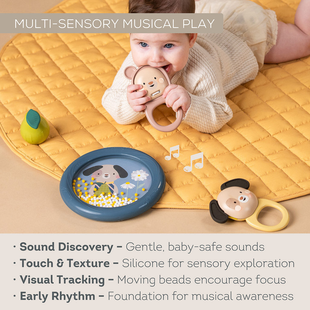Taf Toys Baby Musical Discovery Kit - Easier Beginnings