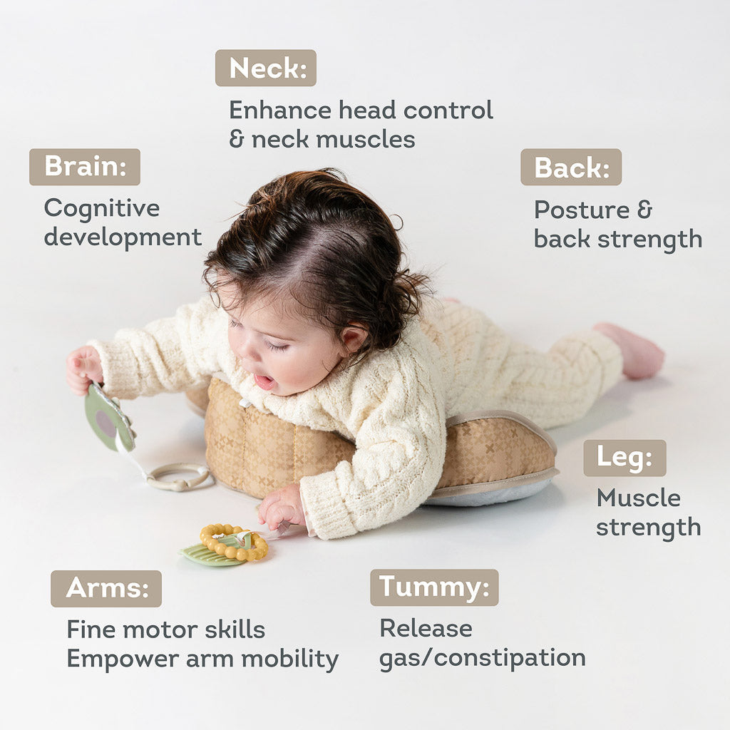 Taf Toys Bear Tummy Time Pillow - Easier Development