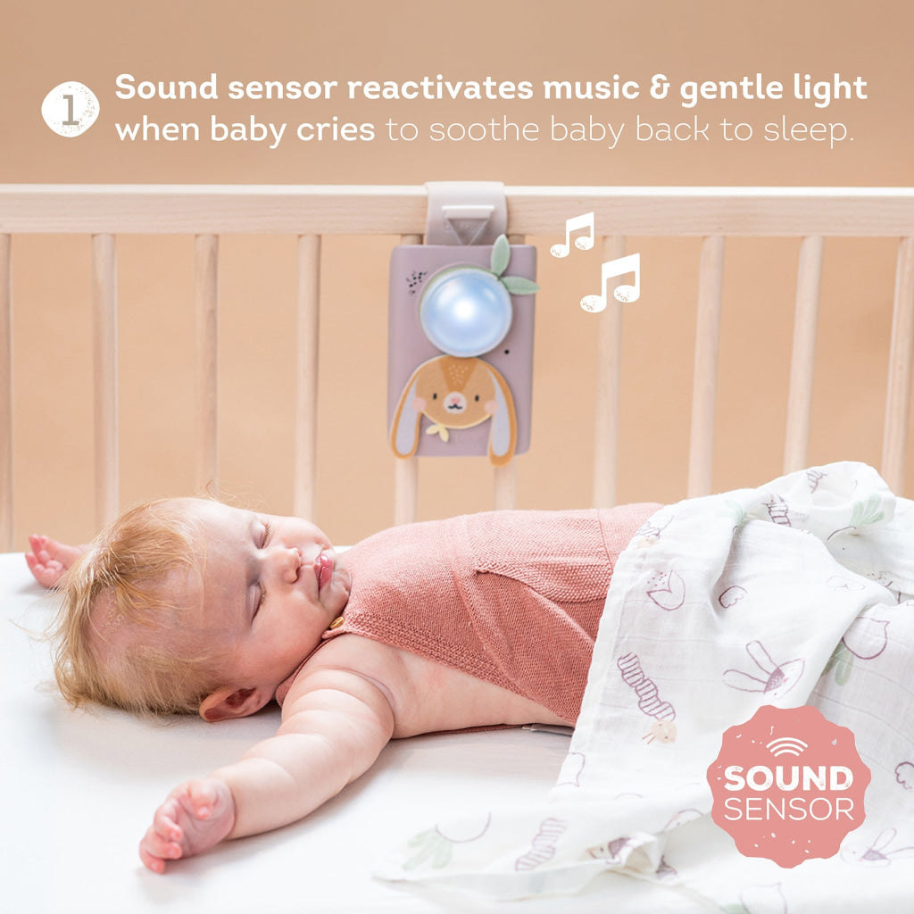 Taf Toys Bunny Soother & Swaddle Set - Easier Sleep