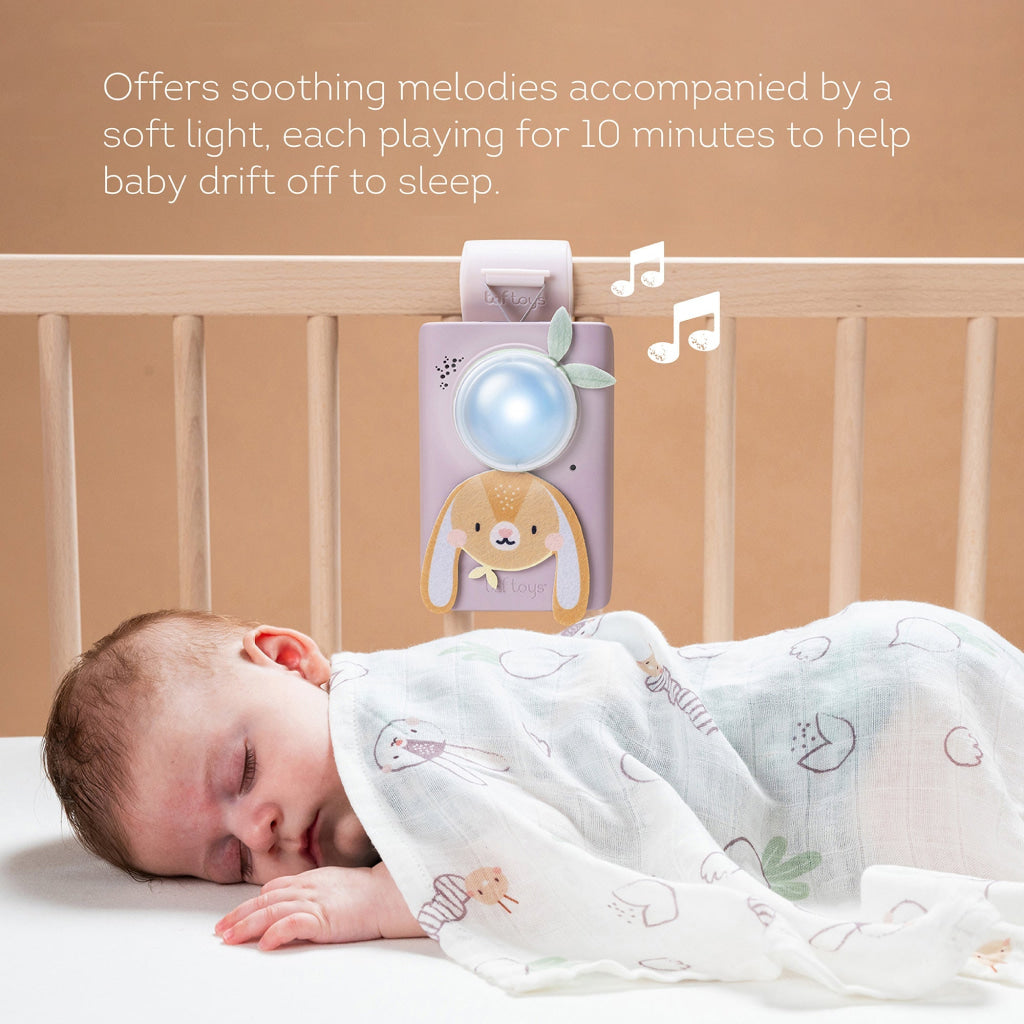 Taf Toys Bunny Soother & Swaddle Set - Easier Sleep