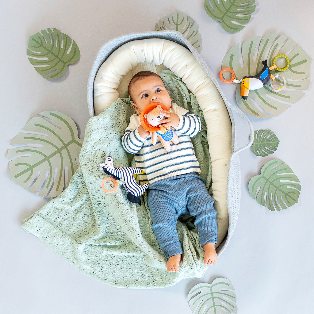 Taf Toys Dizi the Zebra - Easier Development