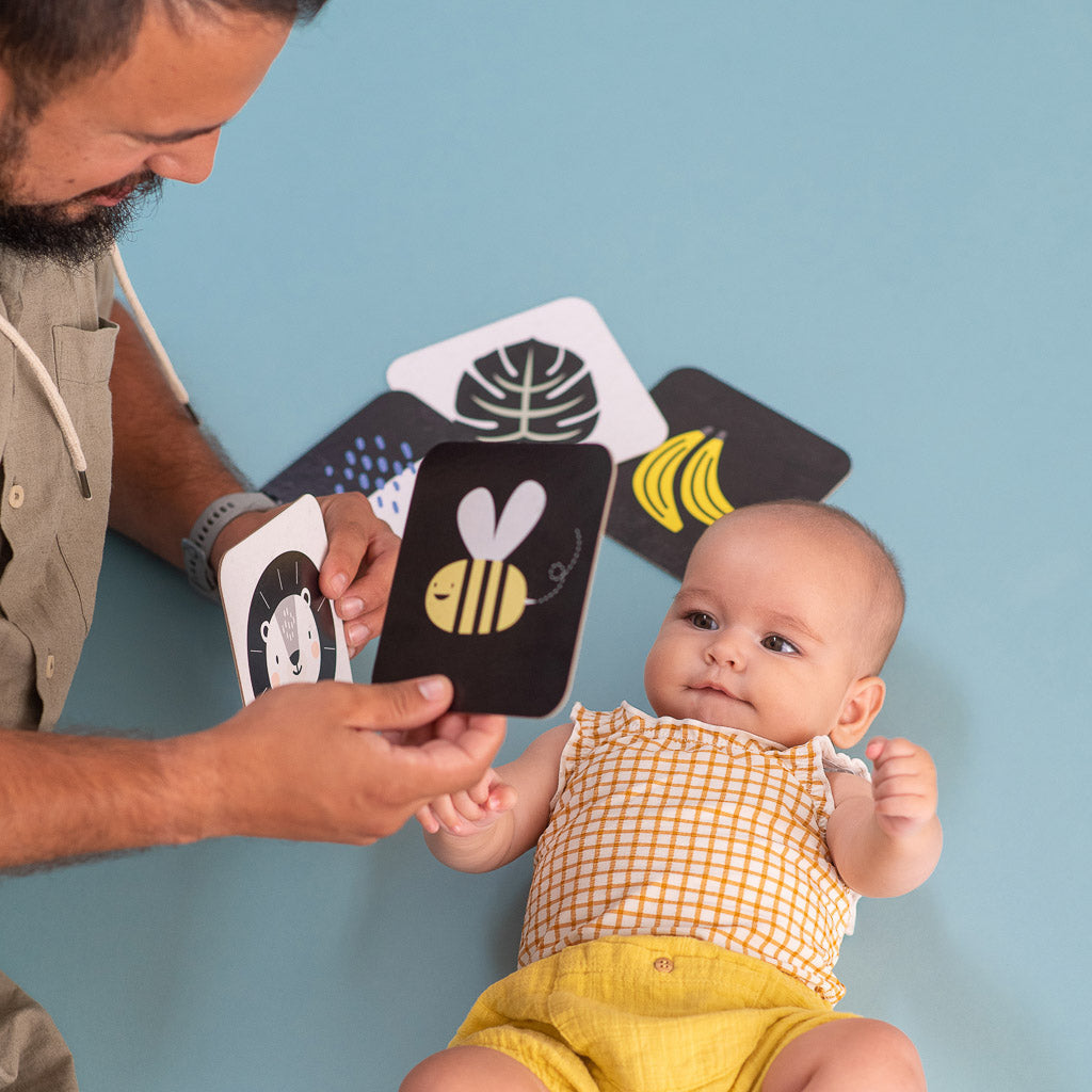 Taf Toys My 1st Tummy-Time Cards - Easier Development