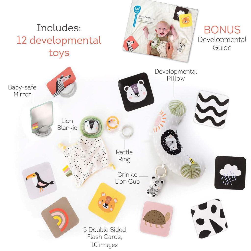 Taf Toys Newborn Kit - Easier Development