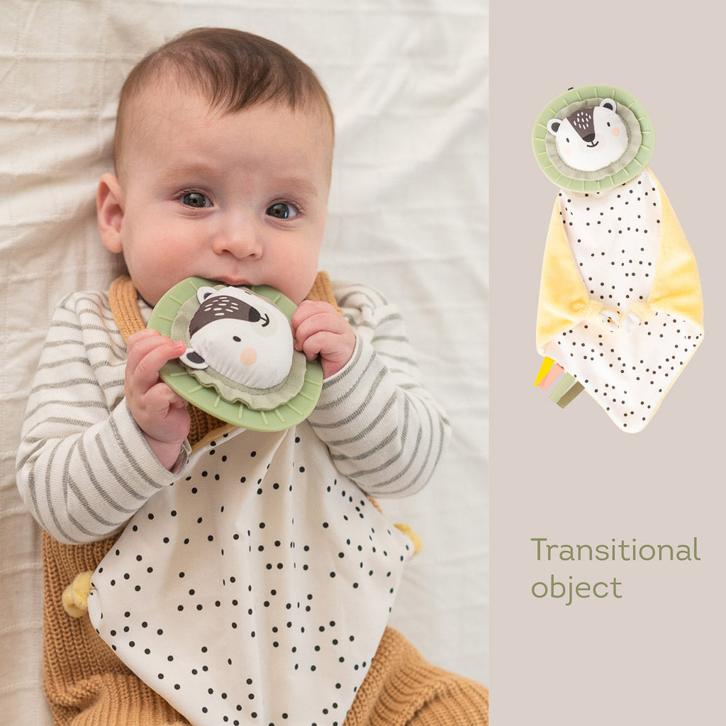 Taf Toys Newborn Kit - Easier Development