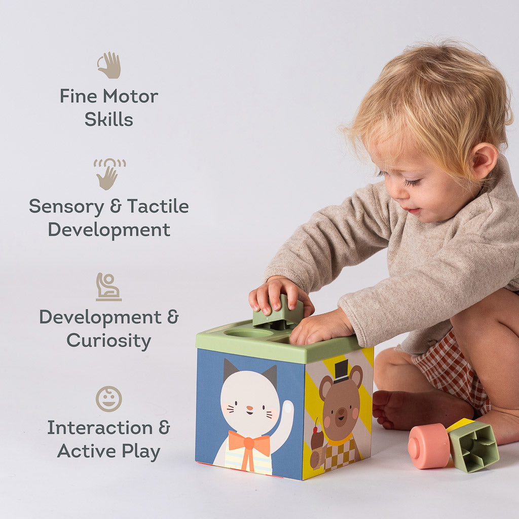 Taf Toys Play & Discover Cube - Easier Learning