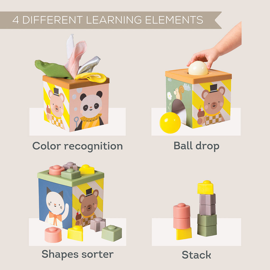 Taf Toys Play & Discover Cube - Easier Learning