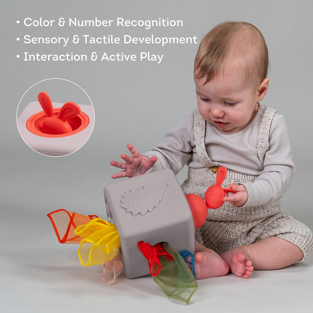 Taf Toys Pop Up Tissue Box - Easier Learning