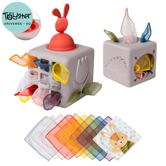 Taf Toys Pop Up Tissue Box - Easier Learning